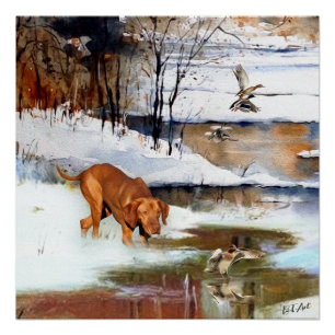 Pôster Vizsla húngara, patos de caça no inverno