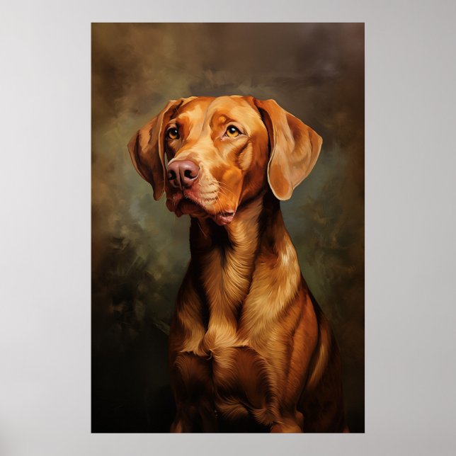 Poster Vizsla Húngaro (Frente)