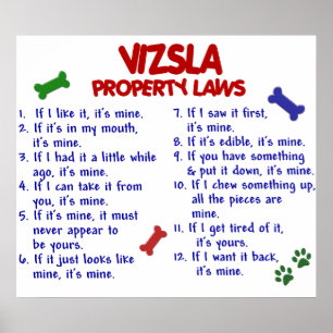 PÔSTER VIZSLA PL2