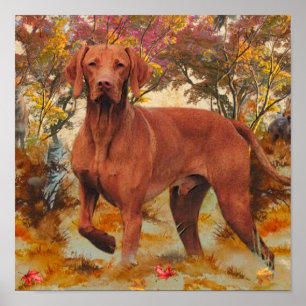 Poster Vizsla Travesseiro decorativo Glass Porta copos C