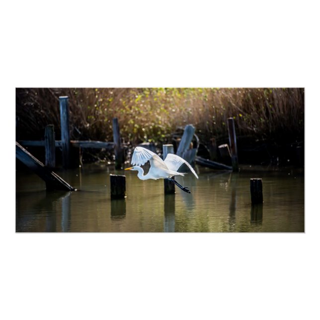 Pôster Voando (Frente)