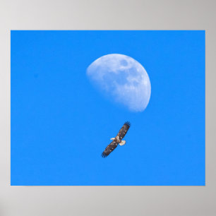 Pôster Voando pela Lua