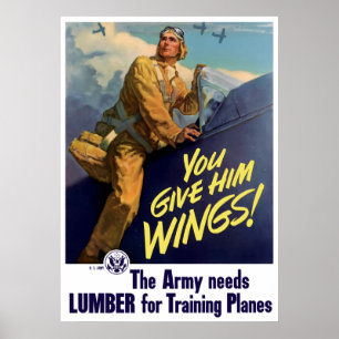 Poster Você dá-lhe as asas!