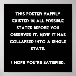 Pôster Você desmaiou! Humor da Física Quântica