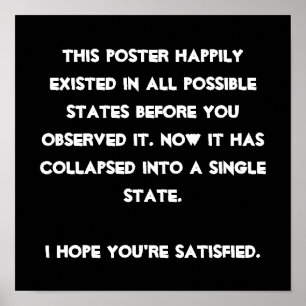 Pôster Você desmoronou ele! Humor da física de quantum