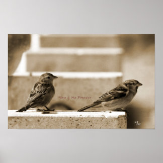 Poster Você e eu para sempre