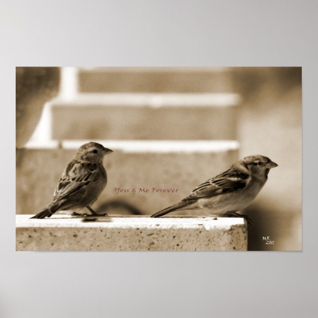 Poster Você e eu para sempre (Frente)