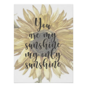 Pôster Você é meu Enfermeiro Sunshine Sunflower