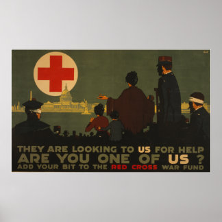 Pôster Você É Um De Nós?