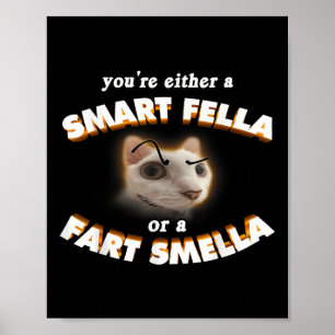 Poster Você É Um Gato Esperto Ou Um Fart Smella Meme