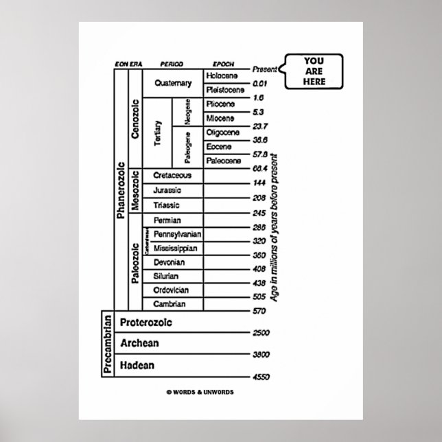 Poster Você está aqui (História da Terra da Idade Geológi (Frente)
