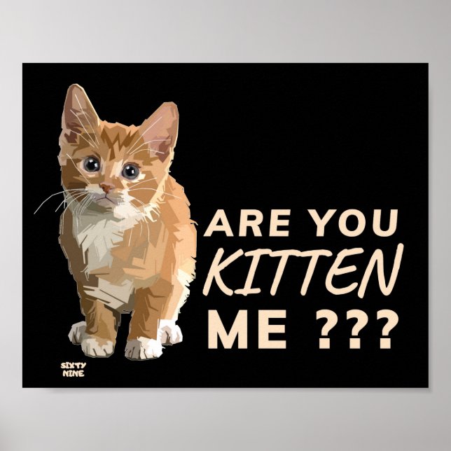 Poster "VOCÊ ESTÁ ME BATENDO" Gato engraçado (Frente)
