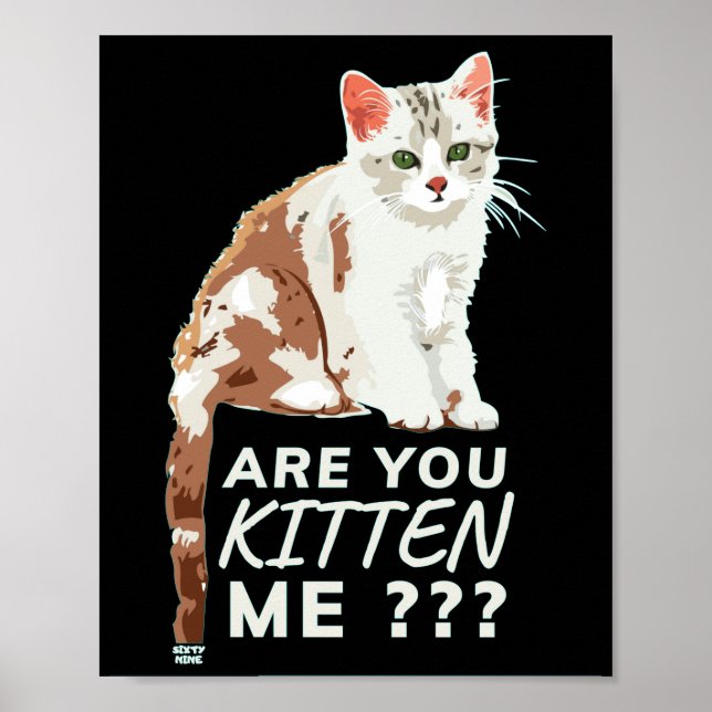 Poster "VOCÊ ESTÁ ME BATENDO" Gato engraçado (Frente)