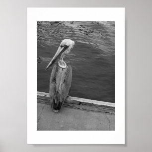 Poster Você está me olhando para fotos brancas e pretas