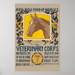 Poster Você Gosta de Cavalos Medicina Veterinária do Exér