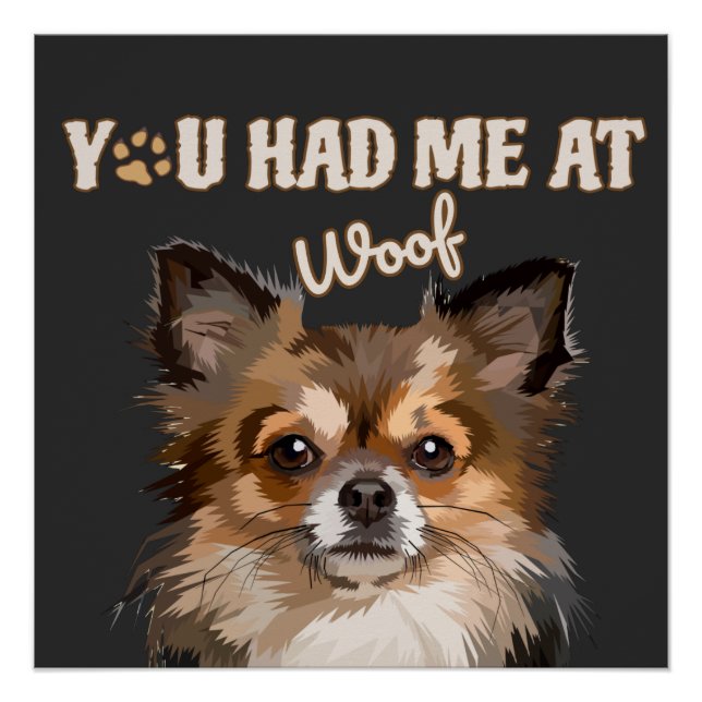 Pôster Você Me Teve No Meio | Pomeranianos De Cães (Frente)