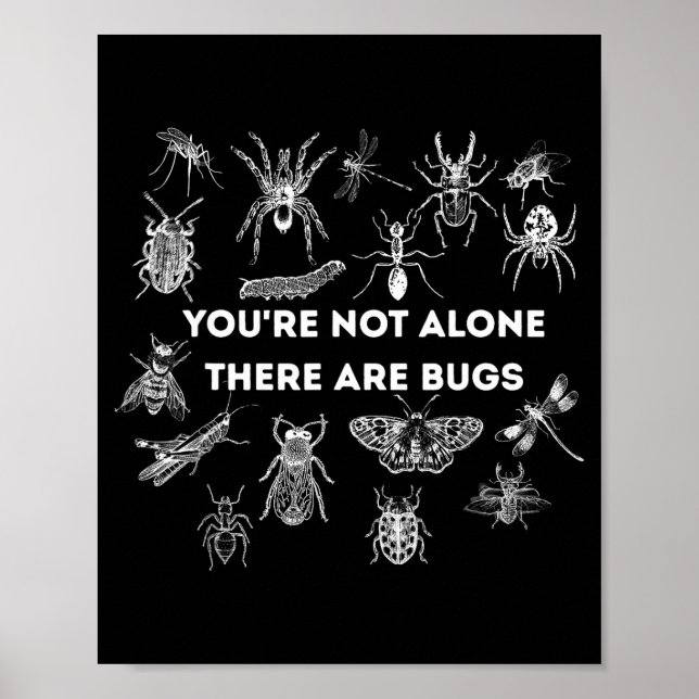 Poster Você não está sozinho, existem bugs (Frente)