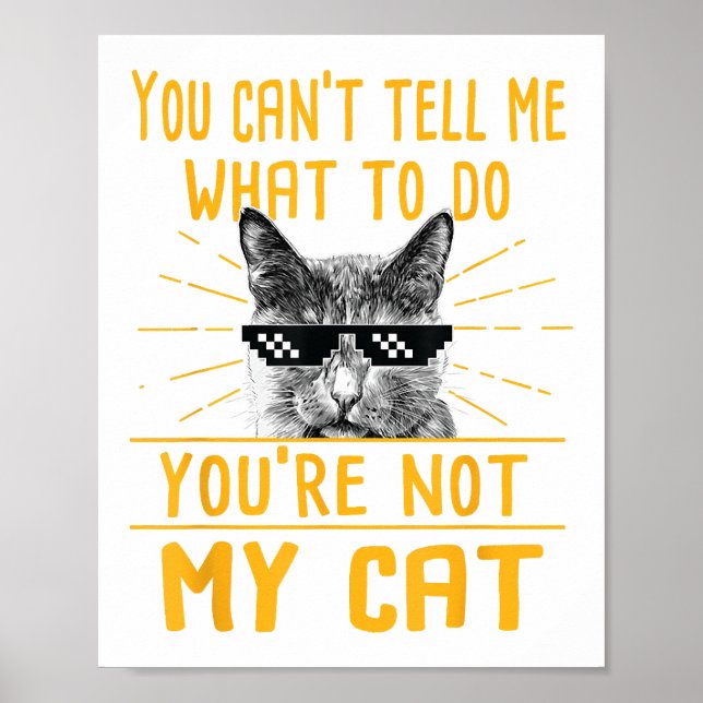 Poster Você não pode me dizer o que fazer - Kit Engraçado (Frente)