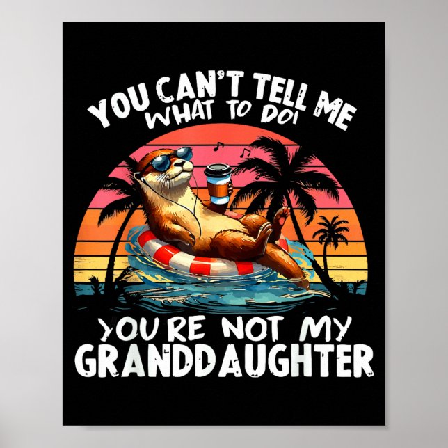 Poster Você Não Pode Me Dizer O Que Fazer Você Não É Meu  (Frente)