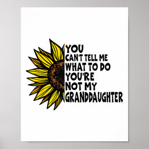 Poster Você Não Pode Me Dizer O Que Fazer Você Não É Meu