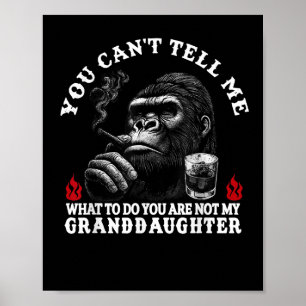 Poster Você não pode me dizer o que fazer você não é meu