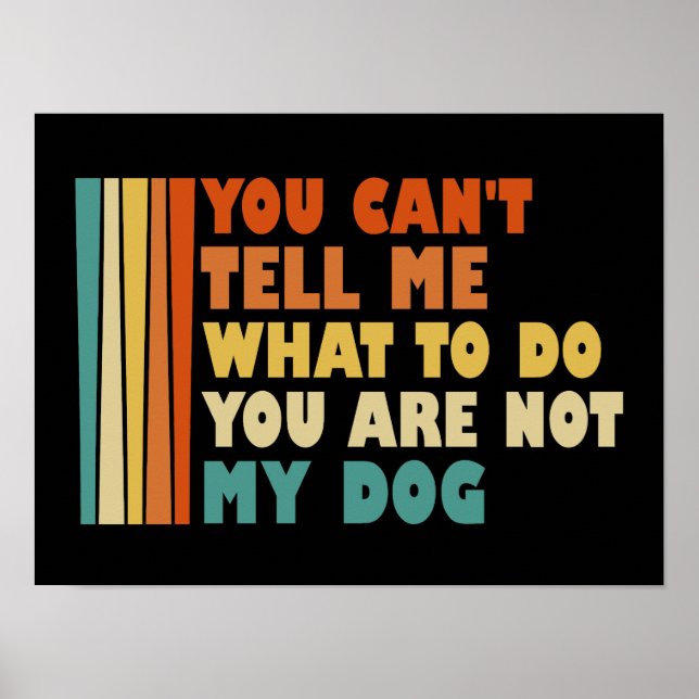 Poster Você não pode me dizer o que fazer você não é meu  (Frente)
