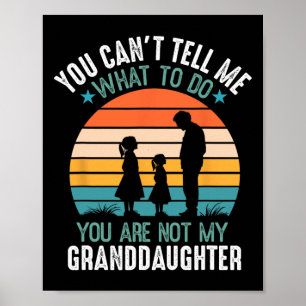 Poster Você não pode me dizer o que fazer você não é meu