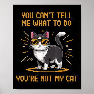 Poster Você Não Pode Me Dizer O Que Fazer Você Não É Meu 