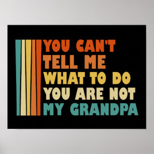 Poster Você não pode me dizer o que fazer você não é vovô