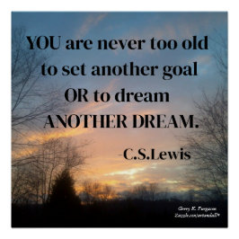 PÔSTER VOCÊ NUNCA ESTÁ VELHO DEMAIS