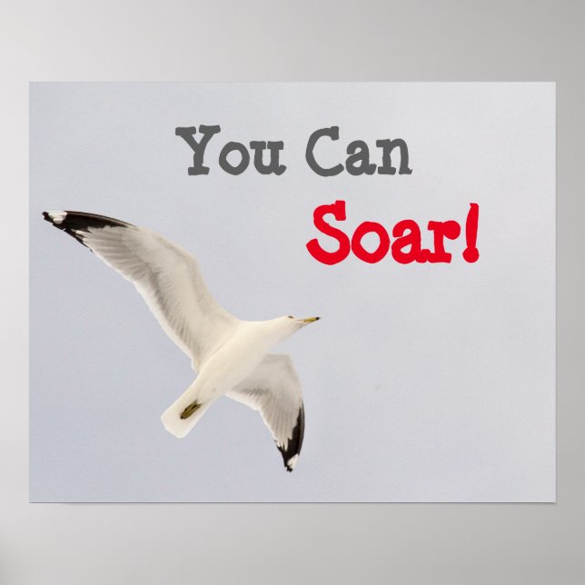 Pôster Você Pode Soar! (Frente)