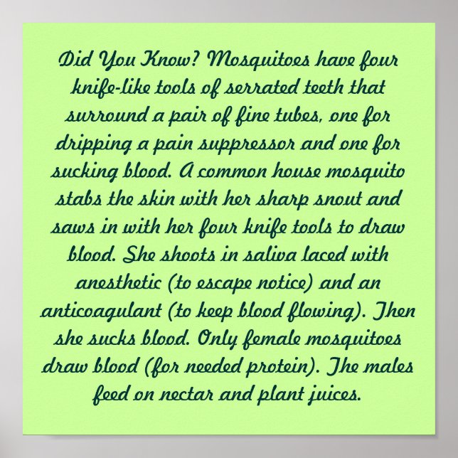 Poster Você Sabia? (Frente)