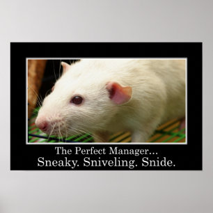 Pôster Você tem todas as qualidades de um gerente do