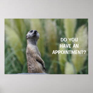 Pôster VOCÊ TEM UMA NOMEAÇÃO? - poster/impressão