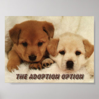 Poster Você vai esperar para adotar um animal?