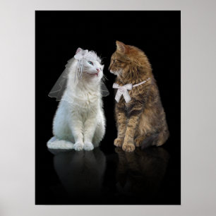 Poster Você vai me mijar?