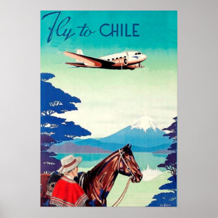 Poster Voe ao pimentão, homem com cavalo, linha aérea d