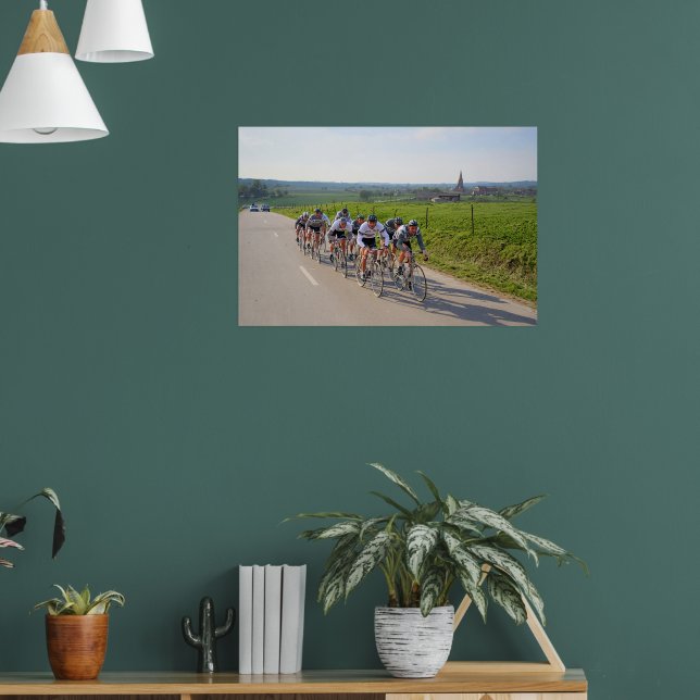 Poster Volta ao Sudoeste entre os Profissionais Huls (Sala de Estar 1)