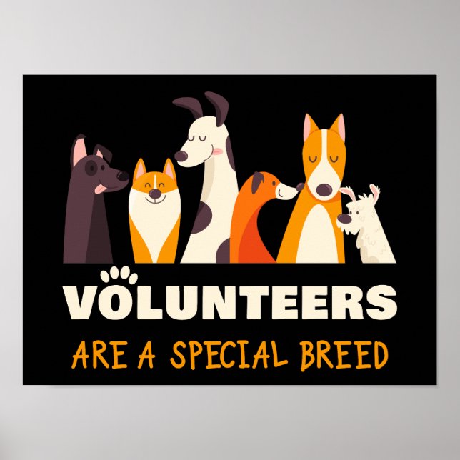 Poster Voluntários são abrigo especial de resgate de cães (Frente)