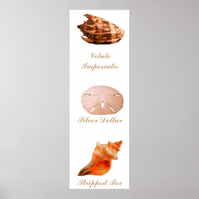 Pôster Volute Imperialis, Dólar De Prata, Raposa Tirada (Frente)