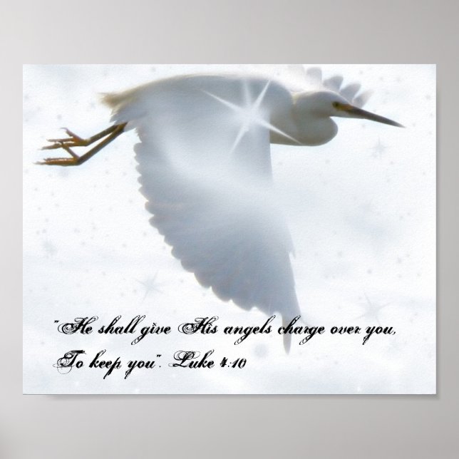 Poster Voo Anjo (Frente)