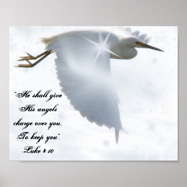 Poster Voo Anjo (Frente)