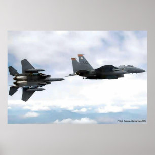 Poster vôo da águia