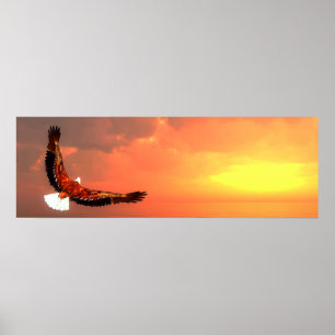 Poster Vôo da águia americana