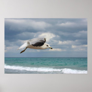 Poster Vôo da gaivota