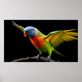 Poster 🌈 Voo da Liberdade Lorikeet - Arco-íris Dinâmico