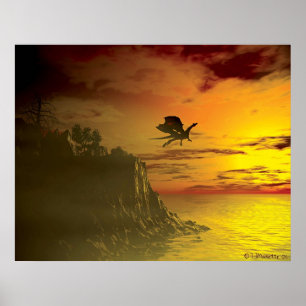 Poster Vôo da noite