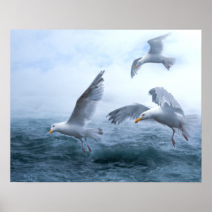 Poster Voo de gaivotas sobre o mar
