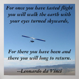 Pôster Voo de Planeamento de Travagem