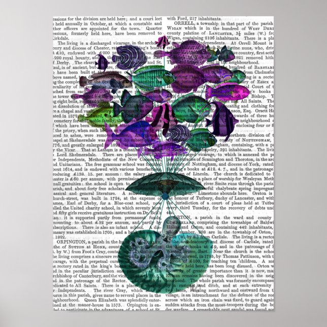 Poster Voo Do Balão De Ar Quente De Peixes (Frente)